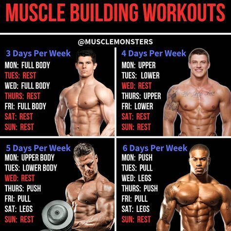 Gym Workout Plan for Lean Muscle Growth