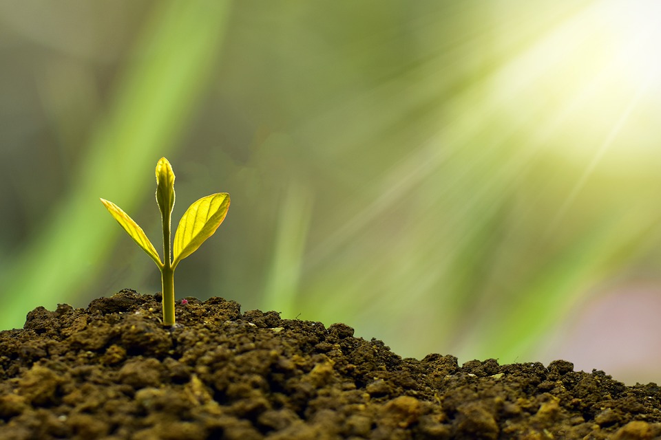 The Future of Nutrition: Lab-Grown Protein & Supplements