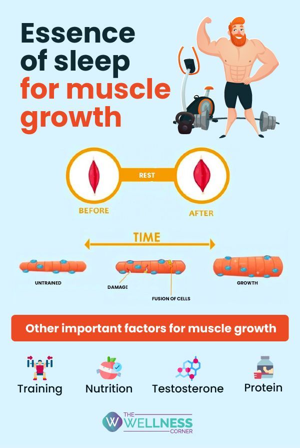 The Importance of Sleep for Muscle Repair